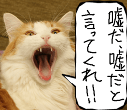 Instead tell the cat part10 sticker #14008386