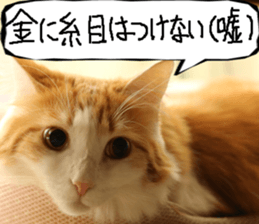 Instead tell the cat part10 sticker #14008390