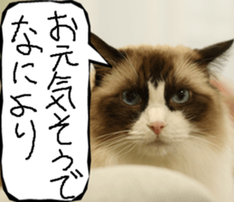 Instead tell the cat part10 sticker #14008391