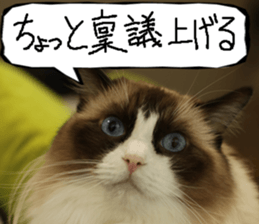 Instead tell the cat part10 sticker #14008392