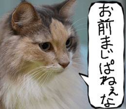 Instead tell the cat part10 sticker #14008400