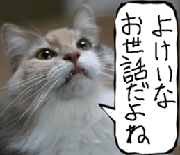 Instead tell the cat part10 sticker #14008403