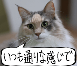 Instead tell the cat part10 sticker #14008404