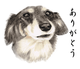 Realistic dog1 sticker #14009294