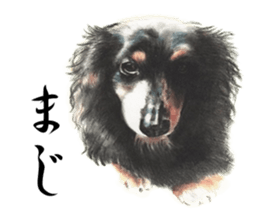 Realistic dog1 sticker #14009298