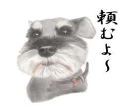 Realistic dog1 sticker #14009305