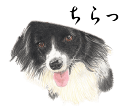 Realistic dog1 sticker #14009308