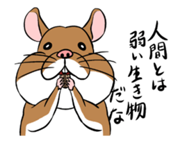 Slang animals sticker #14011634