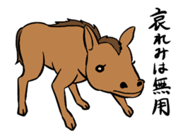 Slang animals sticker #14011644