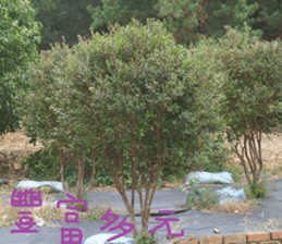 Mountain scenery photos sticker #14012794