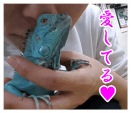 Feeling of an iguana "Sophie" sticker #14013056