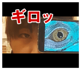 Feeling of an iguana "Sophie" sticker #14013058