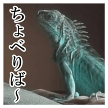 Feeling of an iguana "Sophie" sticker #14013064