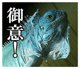 Feeling of an iguana "Sophie" sticker #14013069