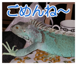 Feeling of an iguana "Sophie" sticker #14013070