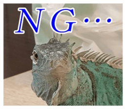 Feeling of an iguana "Sophie" sticker #14013071