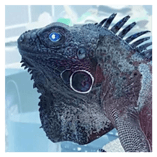 Feeling of an iguana "Sophie" sticker #14013072