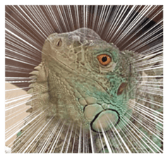 Feeling of an iguana "Sophie" sticker #14013073