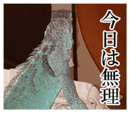 Feeling of an iguana "Sophie" sticker #14013075