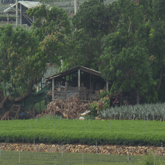 Landscape of the dragon and dragon