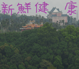 Landscape of the dragon and dragon sticker #14013081