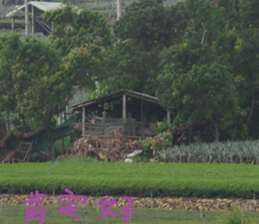 Landscape of the dragon and dragon sticker #14013083