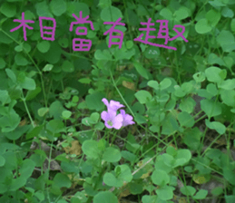 Landscape of the dragon and dragon sticker #14013084