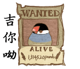 Niaoshiduo- About Love And Java Sparrows sticker #14013116