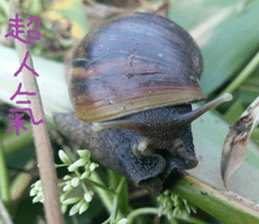 Scenery of the cochlea sticker #14013126