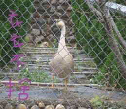 Scenery of the cochlea sticker #14013131