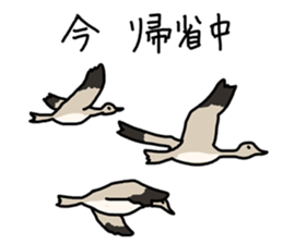 The birds new year sticker #14013282