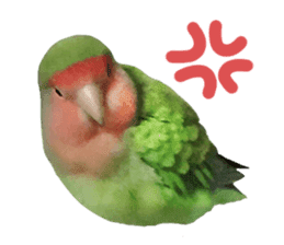 love bird Sticker sticker #14013961