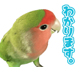 love bird Sticker sticker #14013967