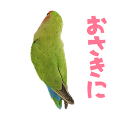 love bird Sticker sticker #14013976