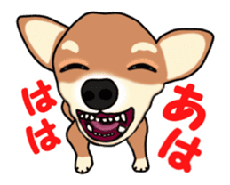 Move! Sticker of Chihuahua sticker #14015318
