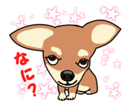 Move! Sticker of Chihuahua sticker #14015320