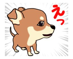 Move! Sticker of Chihuahua sticker #14015322