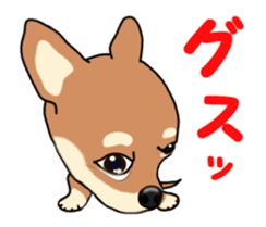 Move! Sticker of Chihuahua sticker #14015323