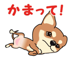 Move! Sticker of Chihuahua sticker #14015325