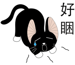 Travel Black Cat sticker #14015692