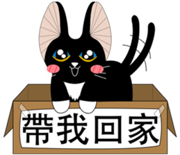 Travel Black Cat sticker #14015693