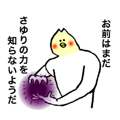 Cockatile's name is Sayuri