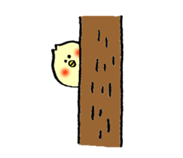 Cockatile's name is Sayuri sticker #14016158