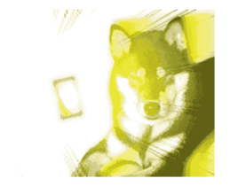 Shiba is MaLu sticker #14016353