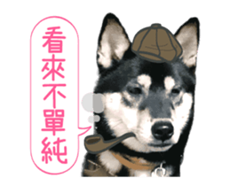 Shiba is MaLu sticker #14016358