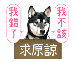 Shiba is MaLu sticker #14016369