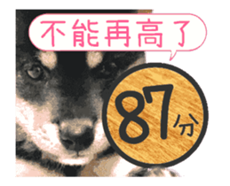 Shiba is MaLu sticker #14016373
