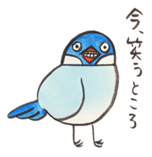 Soliloquence of Java sparrow sticker #14018078