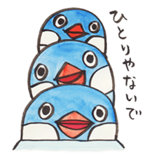 Soliloquence of Java sparrow sticker #14018085