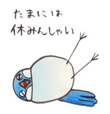 Soliloquence of Java sparrow sticker #14018093